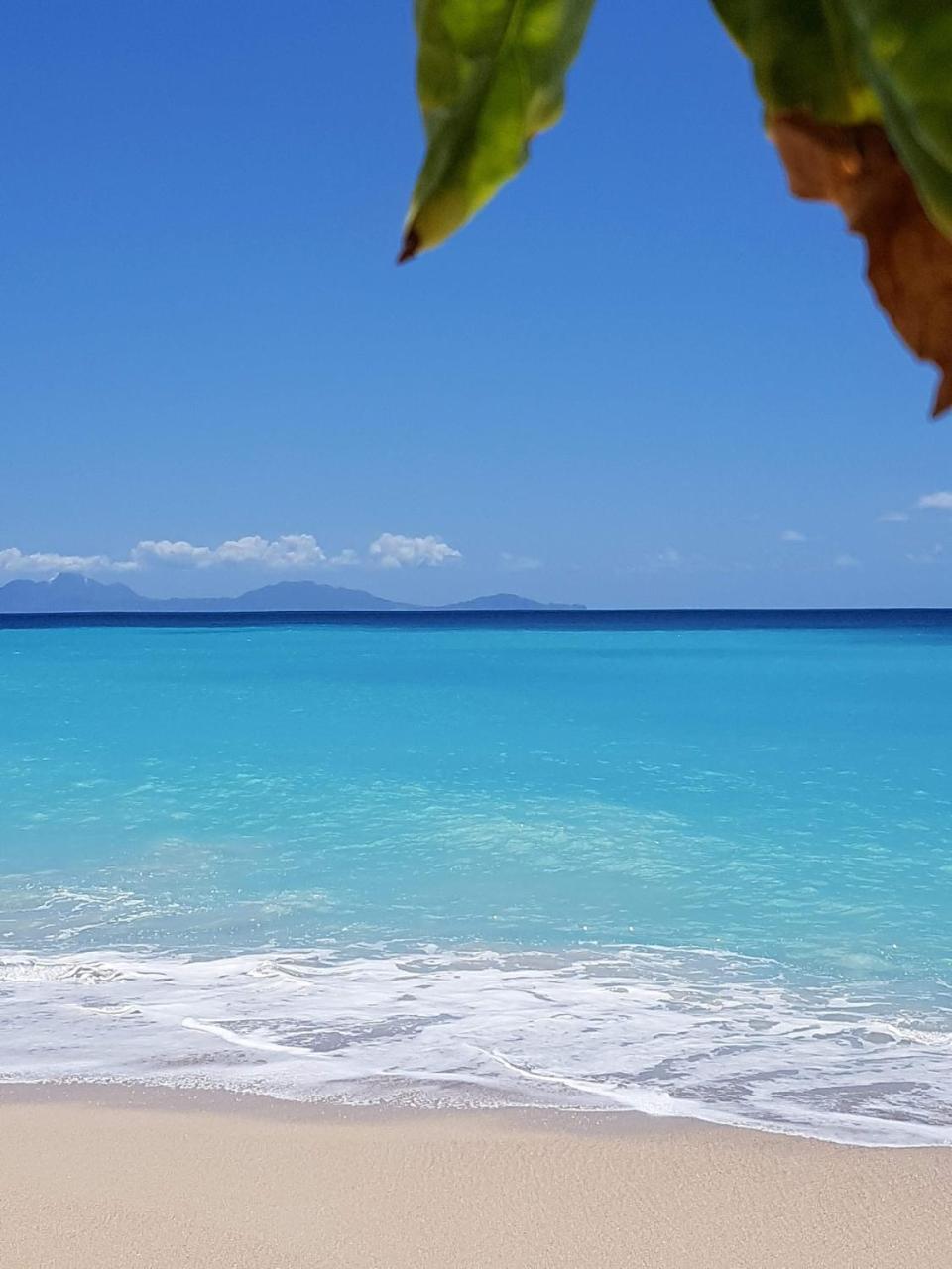 Dickenson Bay Oasis At Antigua Village St. John's Dış mekan fotoğraf