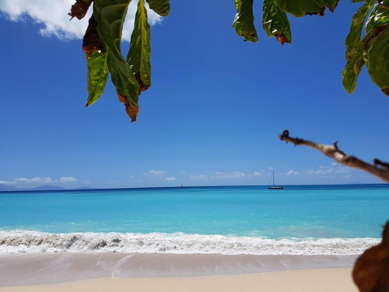 Dickenson Bay Oasis At Antigua Village St. John's Dış mekan fotoğraf