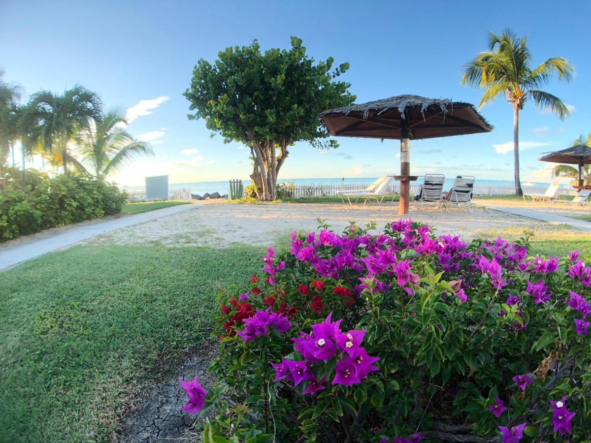Dickenson Bay Oasis At Antigua Village St. John's Dış mekan fotoğraf